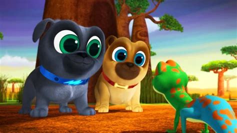 puppy dog pals soap2day|Watch Puppy Dog Pals Season 2 Episode 13 .